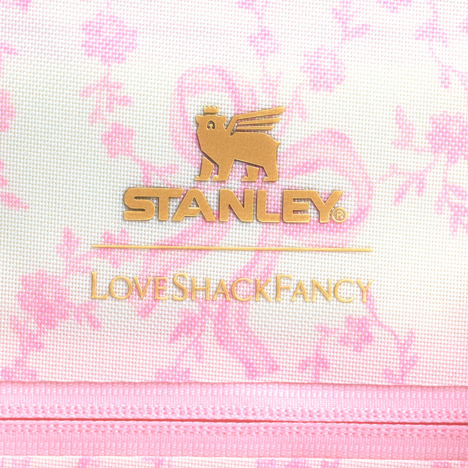 Web_PNG_Square-TheAll-DayMadeleineMiniCoolerBackpack14QT-CoquetteBowChantilly-Detail3.png